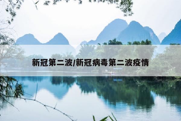 新冠第二波/新冠病毒第二波疫情