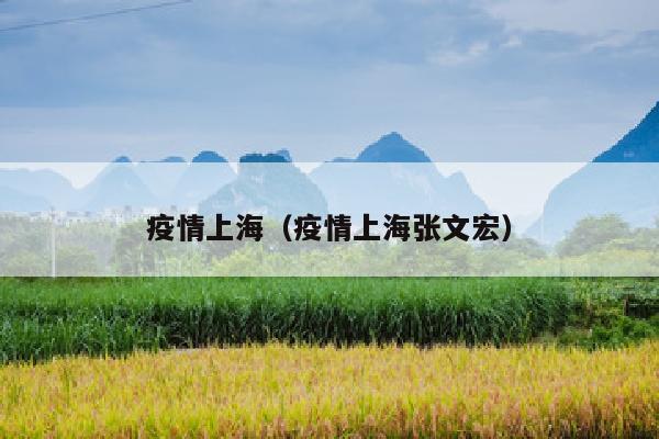 疫情上海（疫情上海张文宏）