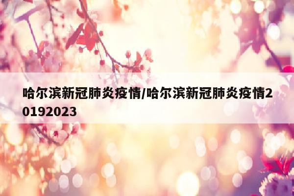 哈尔滨新冠肺炎疫情/哈尔滨新冠肺炎疫情20192023