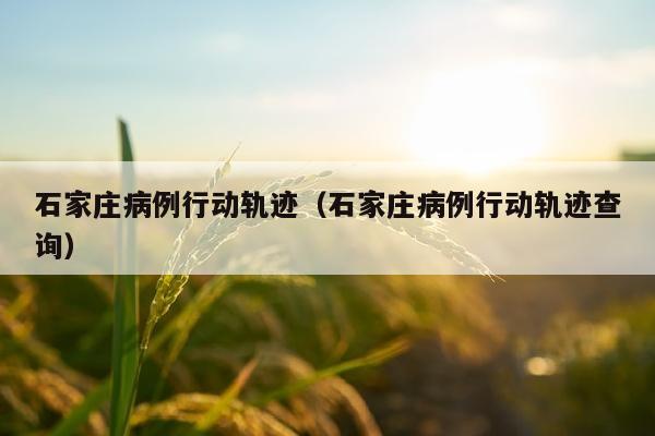 石家庄病例行动轨迹（石家庄病例行动轨迹查询）
