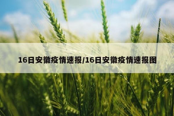 16日安徽疫情速报/16日安徽疫情速报图
