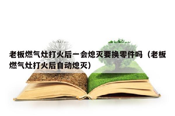 老板燃气灶打火后一会熄灭要换零件吗（老板燃气灶打火后自动熄灭）