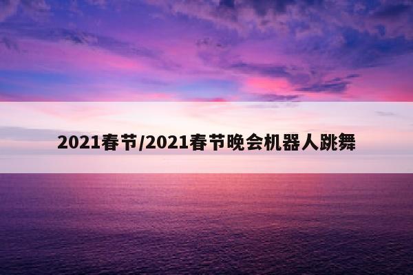 2021春节/2021春节晚会机器人跳舞