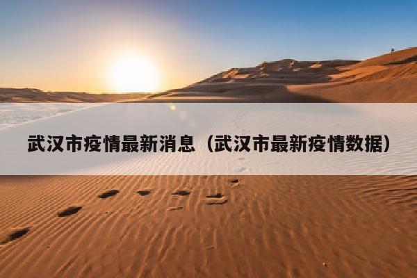 武汉市疫情最新消息（武汉市最新疫情数据）