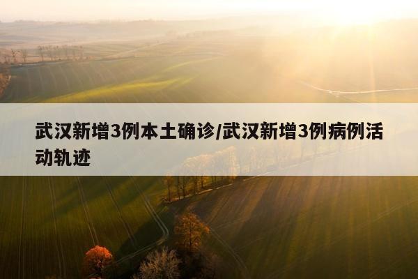 武汉新增3例本土确诊/武汉新增3例病例活动轨迹