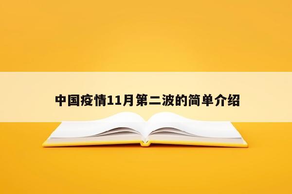 中国疫情11月第二波的简单介绍