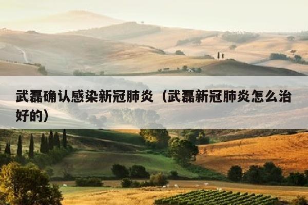 武磊确认感染新冠肺炎（武磊新冠肺炎怎么治好的）