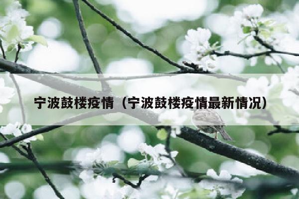 宁波鼓楼疫情（宁波鼓楼疫情最新情况）