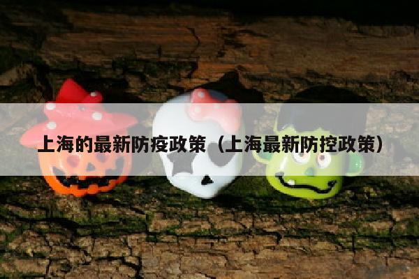 上海的最新防疫政策（上海最新防控政策）