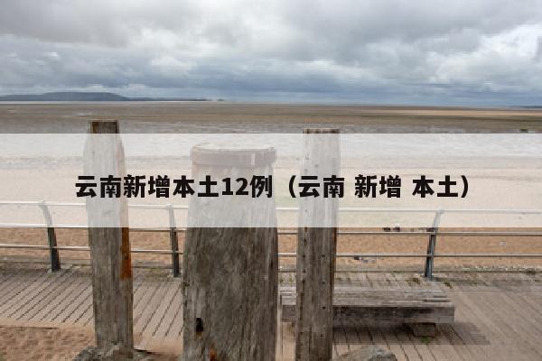 云南新增本土12例（云南 新增 本土）