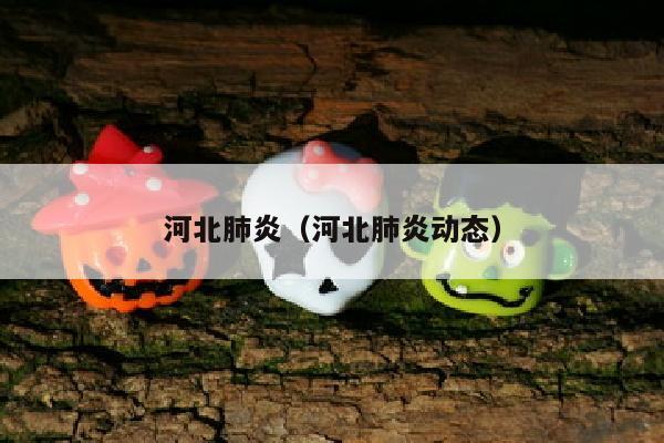 河北肺炎（河北肺炎动态）