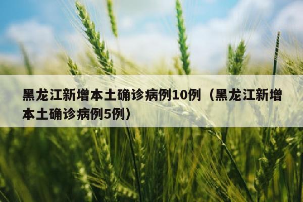 黑龙江新增本土确诊病例10例（黑龙江新增本土确诊病例5例）