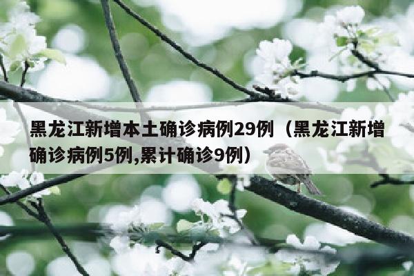 黑龙江新增本土确诊病例29例（黑龙江新增确诊病例5例,累计确诊9例）