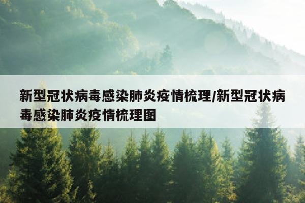 新型冠状病毒感染肺炎疫情梳理/新型冠状病毒感染肺炎疫情梳理图
