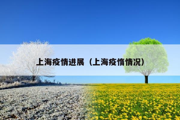 上海疫情进展（上海疫惰情况）