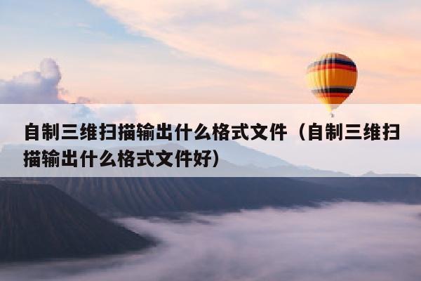 自制三维扫描输出什么格式文件（自制三维扫描输出什么格式文件好）