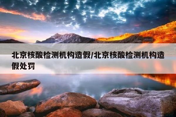 北京核酸检测机构造假/北京核酸检测机构造假处罚