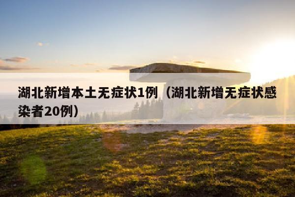 湖北新增本土无症状1例（湖北新增无症状感染者20例）