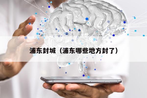 浦东封城（浦东哪些地方封了）