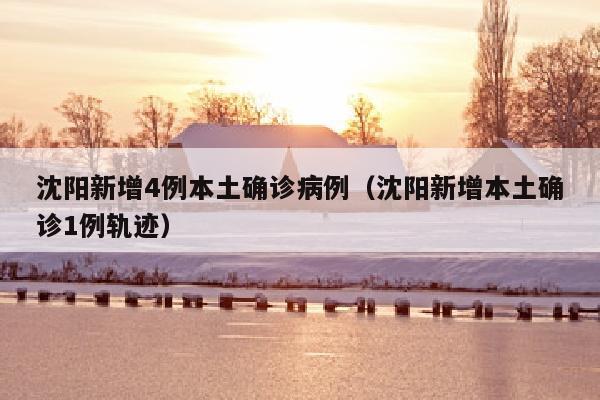 沈阳新增4例本土确诊病例（沈阳新增本土确诊1例轨迹）