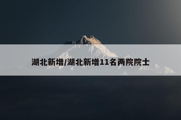 湖北新增/湖北新增11名两院院士