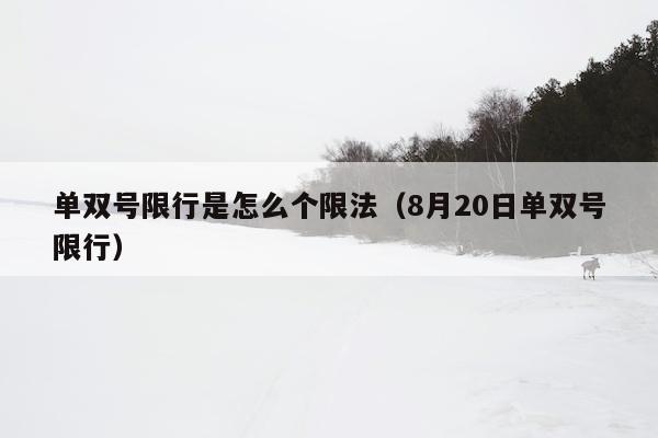 单双号限行是怎么个限法（8月20日单双号限行）
