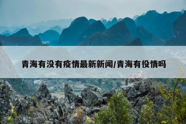 青海有没有疫情最新新闻/青海有役情吗