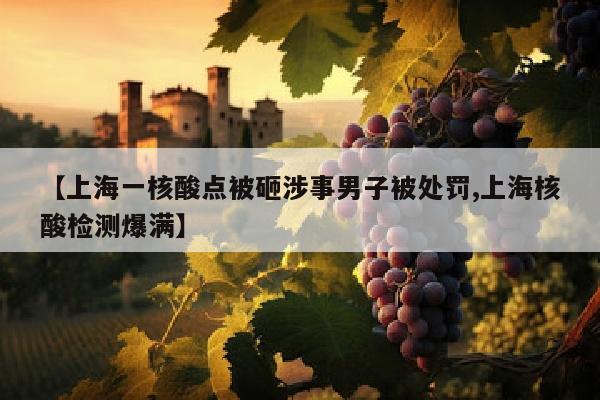 【上海一核酸点被砸涉事男子被处罚,上海核酸检测爆满】