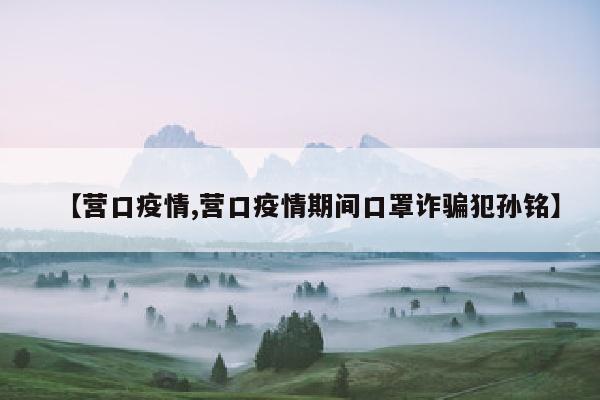 【营口疫情,营口疫情期间口罩诈骗犯孙铭】