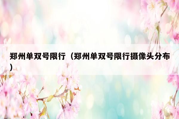 郑州单双号限行（郑州单双号限行摄像头分布）