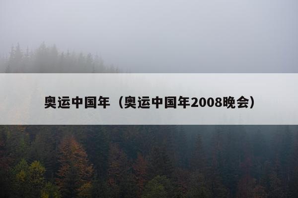 奥运中国年（奥运中国年2008晚会）