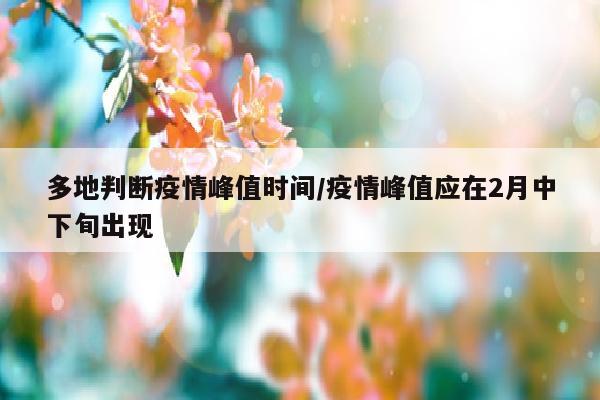 多地判断疫情峰值时间/疫情峰值应在2月中下旬出现