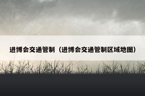 进博会交通管制（进博会交通管制区域地图）