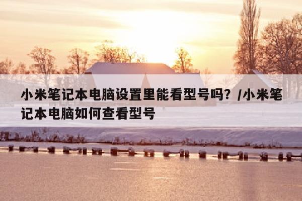 小米笔记本电脑设置里能看型号吗？/小米笔记本电脑如何查看型号