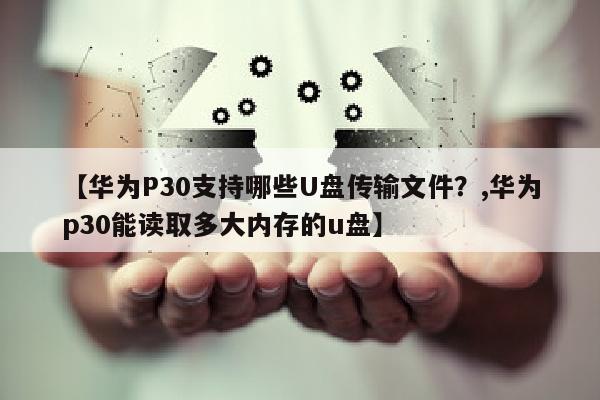 【华为P30支持哪些U盘传输文件？,华为p30能读取多大内存的u盘】