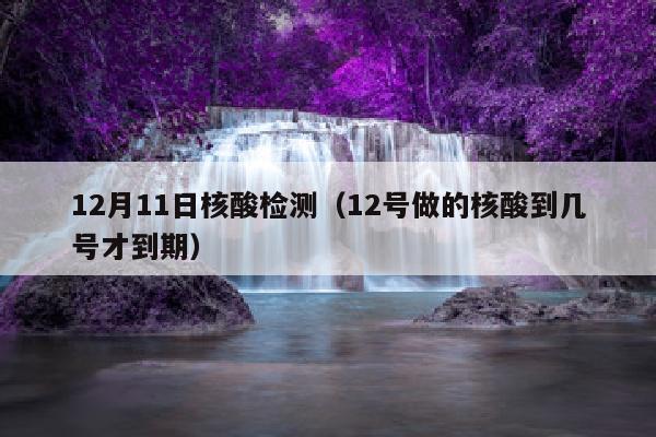 12月11日核酸检测（12号做的核酸到几号才到期）