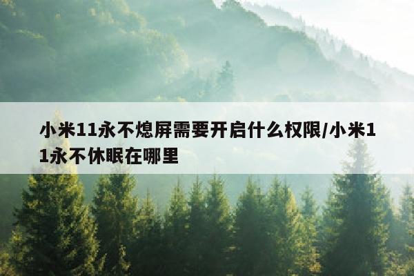 小米11永不熄屏需要开启什么权限/小米11永不休眠在哪里