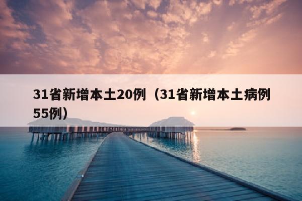 31省新增本土20例（31省新增本土病例55例）