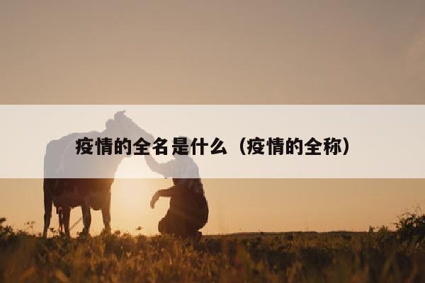 疫情的全名是什么（疫情的全称）