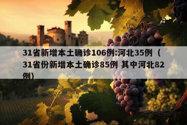 31省新增本土确诊106例:河北35例（31省份新增本土确诊85例 其中河北82例）