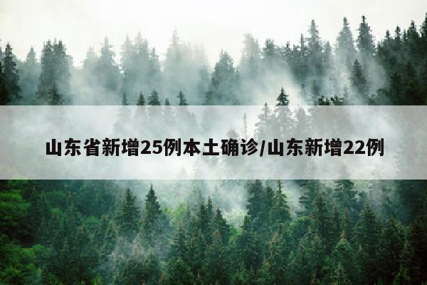 山东省新增25例本土确诊/山东新增22例