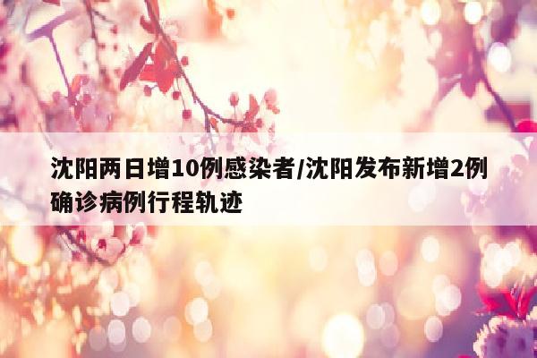 沈阳两日增10例感染者/沈阳发布新增2例确诊病例行程轨迹