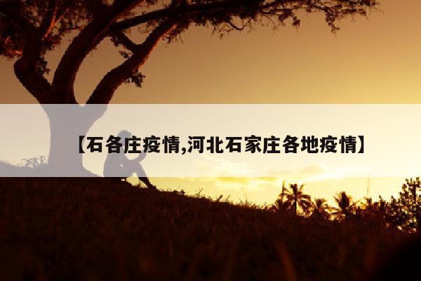 【石各庄疫情,河北石家庄各地疫情】
