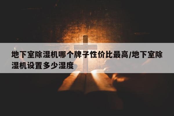 地下室除湿机哪个牌子性价比最高/地下室除湿机设置多少湿度