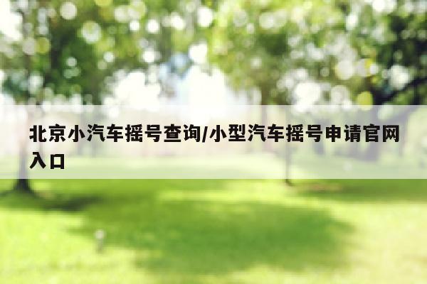 北京小汽车摇号查询/小型汽车摇号申请官网入口
