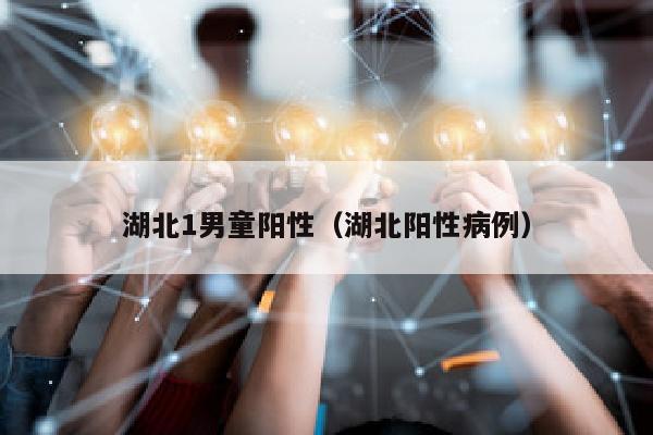 湖北1男童阳性（湖北阳性病例）